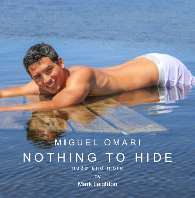Nothing to Hide book cover