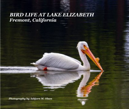 BIRD LIFE AT LAKE ELIZABETH Fremont, California book cover