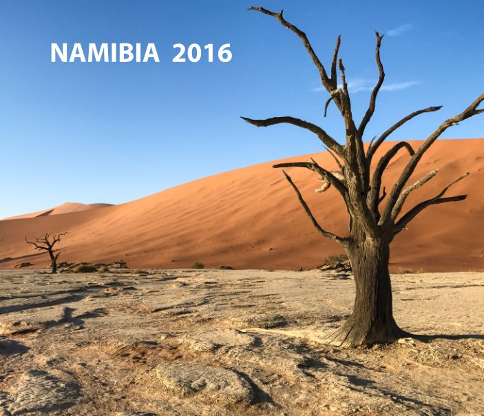 View NAMIBIA 2016 by Gintaras Gintautas