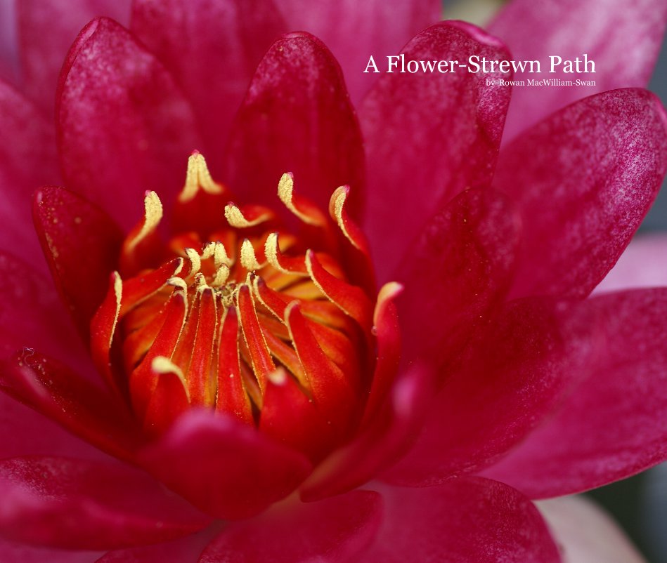 View A Flower-Strewn Path by by Rowan MacWilliam-Swan
