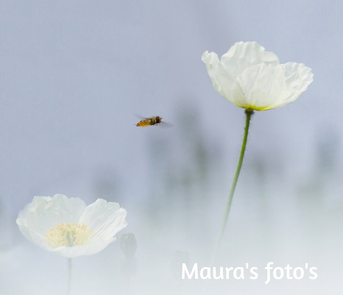 Visualizza Maura's foto's di Klaas Oudshoorn, Arjan Kraster