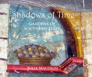 Shadows of Time book cover
