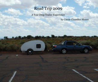 Road Trip 2009 book cover