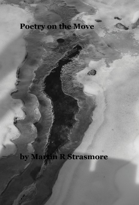 Visualizza Poetry on the Move di Martin R Strasmore