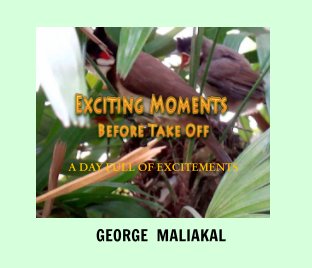 Exciting Moments - Before Take Off book cover
