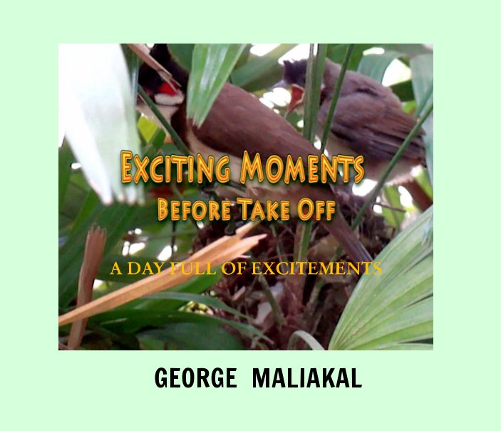 View Exciting Moments - Before Take Off by GEORGE MALIAKAL