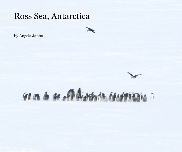 View Ross Sea, Antarctica by Angela Japha