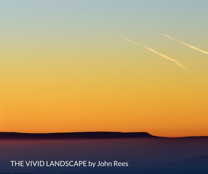 View The Vivid Landscape by John Rees