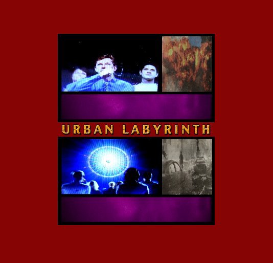 View Urban Labyrinth by Peter Leiss