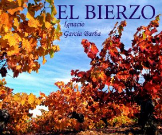 El Bierzo book cover