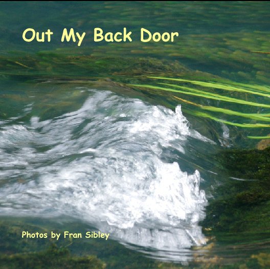 Ver Out My Back Door por Photos by Fran Sibley