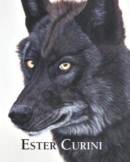 Ester Curini: New Paintings book cover