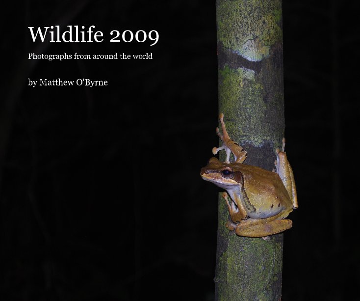 Ver Wildlife 2009 por Matthew O'Byrne