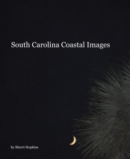 South Carolina Coastal Images book cover
