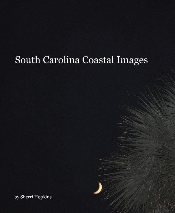View South Carolina Coastal Images by Sherri Hopkins