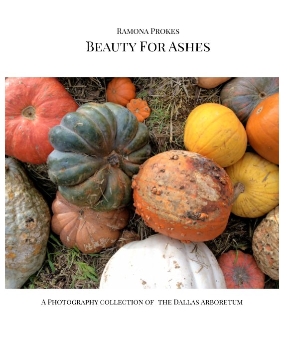 Visualizza Beauty For Ashes di Ramona Prokes