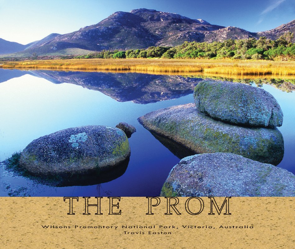 View The Prom (11"x13" hard cover) by Travis Easton