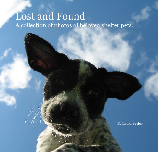 Ver Lost and Found por Laura Borley