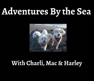 Adventures By the Sea with Charli, Mac & Harley! book cover