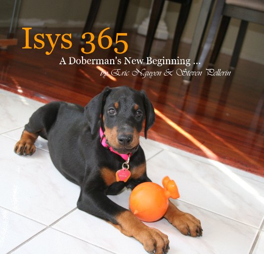 View Isys 365 A Doberman's New Beginning ... by Eric Nguyen & Steven Pellerin by Eric Nguyen
