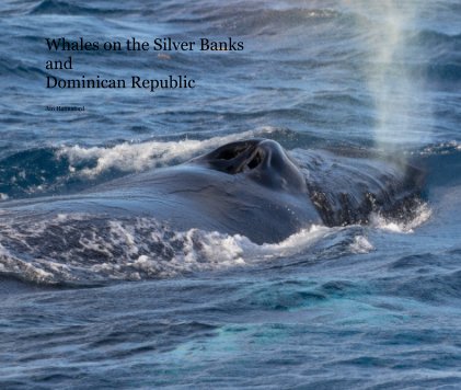 Whales on the Silver Banks and Dominican Republic book cover