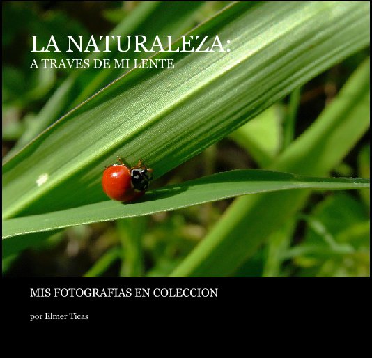 View LA NATURALEZA: A TRAVES DE MI LENTE by Elmer Ticas