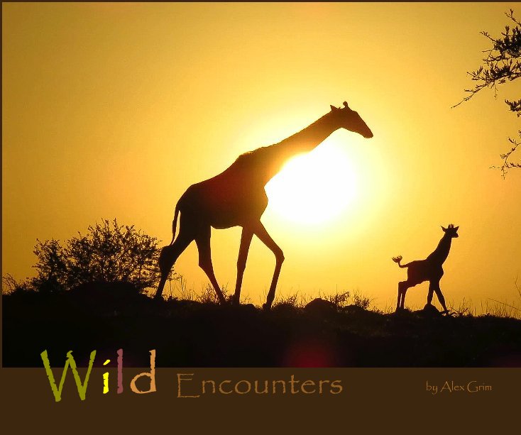View Wild Encounters by Alex Grim