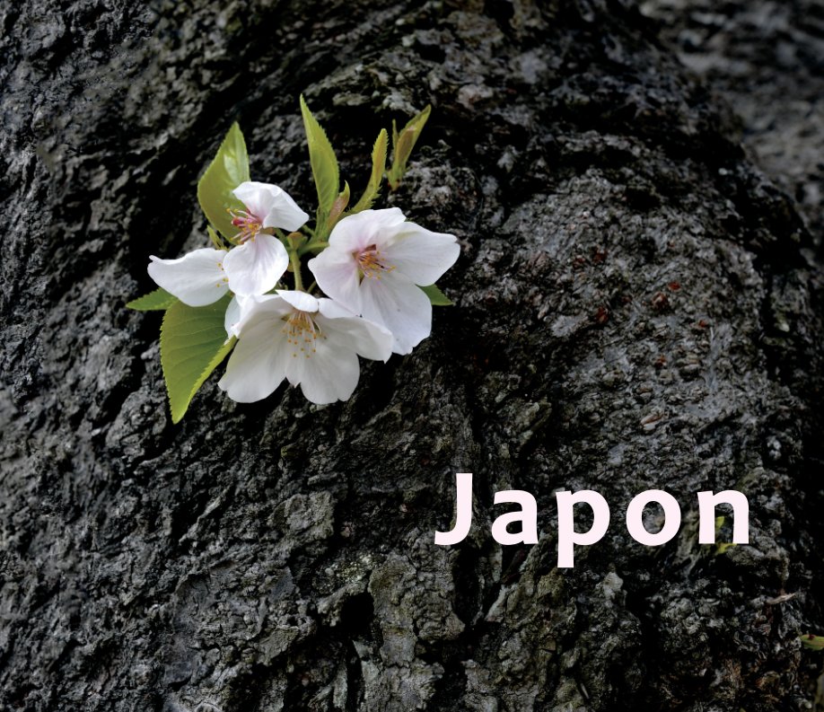 Ver Japon por André Bessot