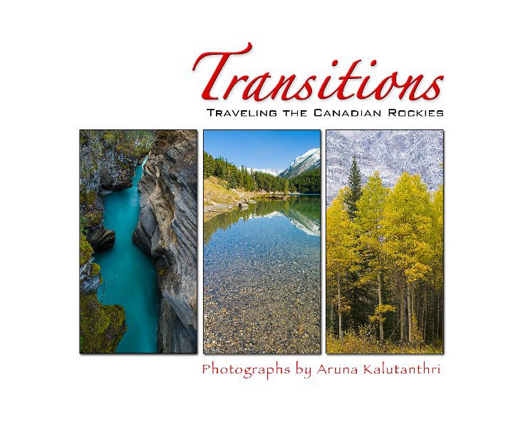 View Transitions by Aruna Kalutanthri