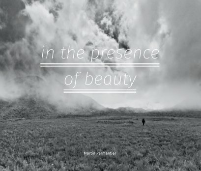 in the presence of beauty book cover