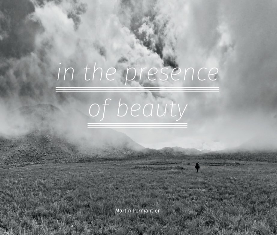 View in the presence of beauty by Martin Permantier