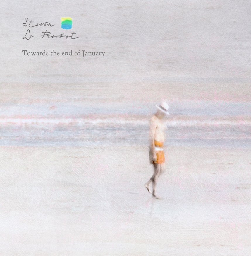 Visualizza "Towards the end of January" di Steven Le Prevost