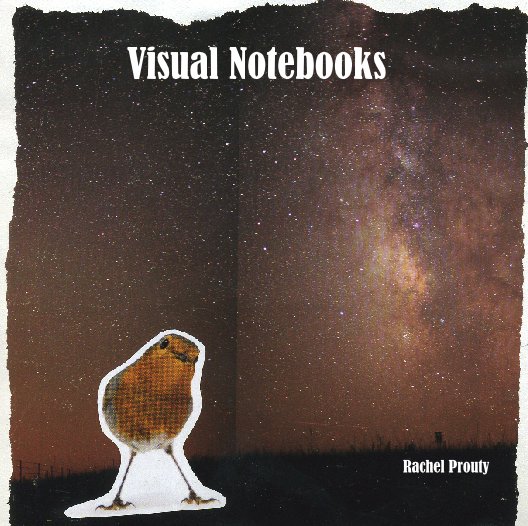 Ver Visual Notebooks por Rachel Prouty