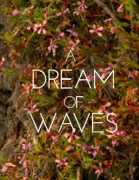 A DREAM OF WAVES book cover