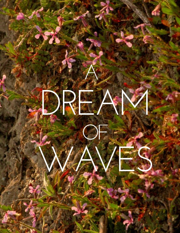 View A DREAM OF WAVES by AARON MOURA