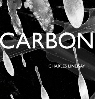 CARBON Installation book cover