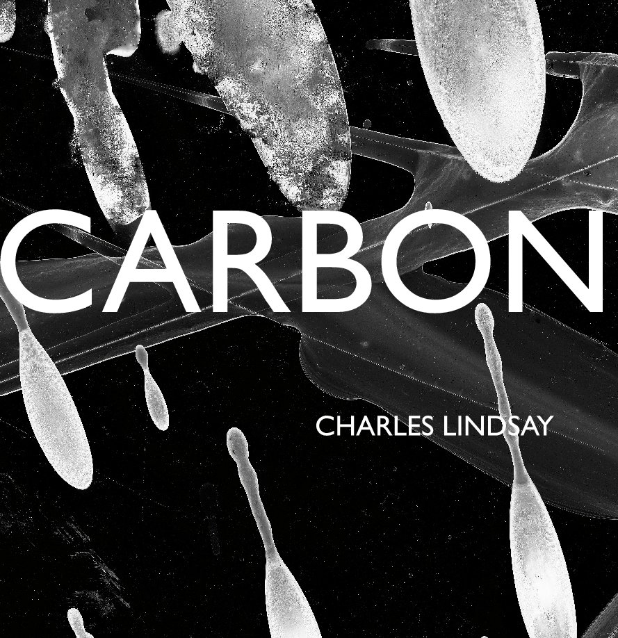 Ver CARBON Installation por Charles Lindsay