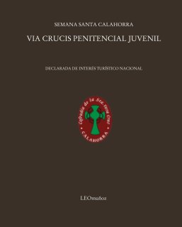 VIA CRUCIS PENITENCIAL JUVENIL book cover