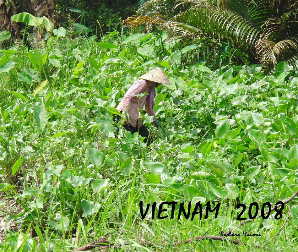 View VIETNAM 2008 by Barbara Maioni