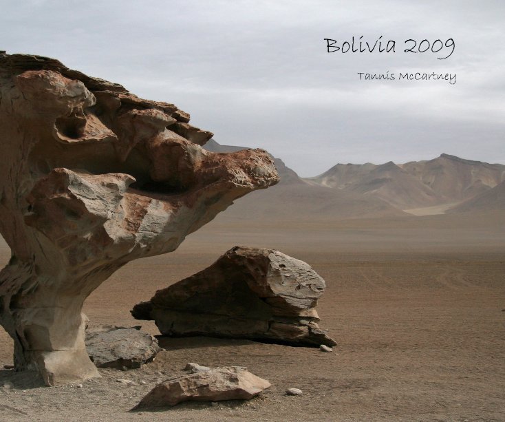 Ver Bolivia 2009 por Tannis McCartney