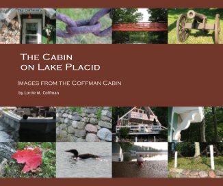 The Cabin on Lake Placid book cover