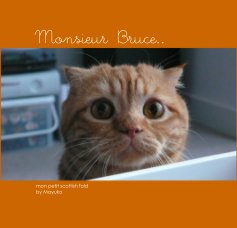 Monsieur Bruce.. book cover