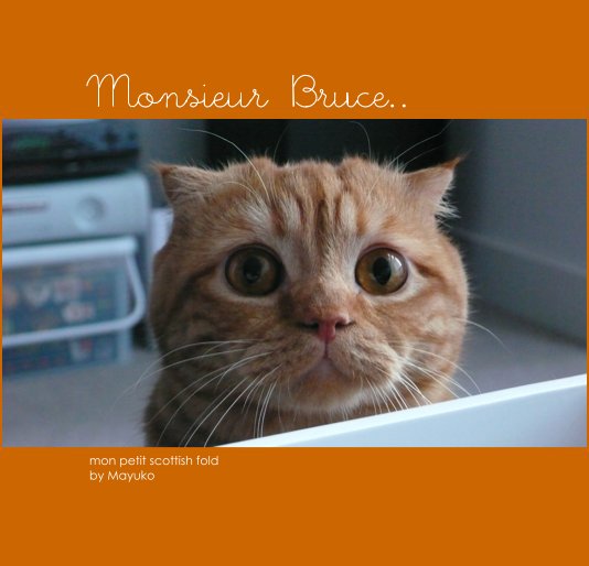 View Monsieur Bruce.. by Mayuko Wong
