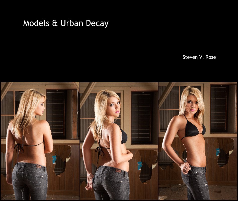 View Models and Urban Decay by Steven V. Rose