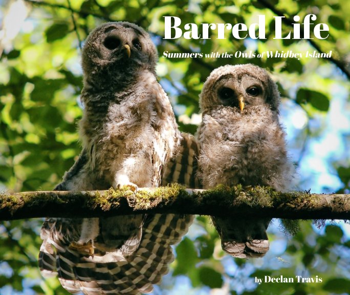 View Barred Life by Declan Travis