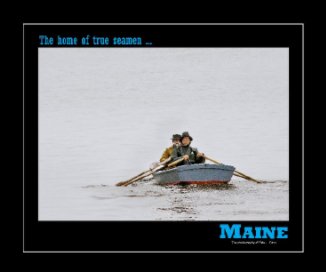 MAINE book cover