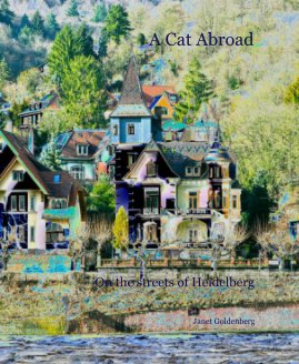 A Cat Abroad On the streets of Heidelberg book cover