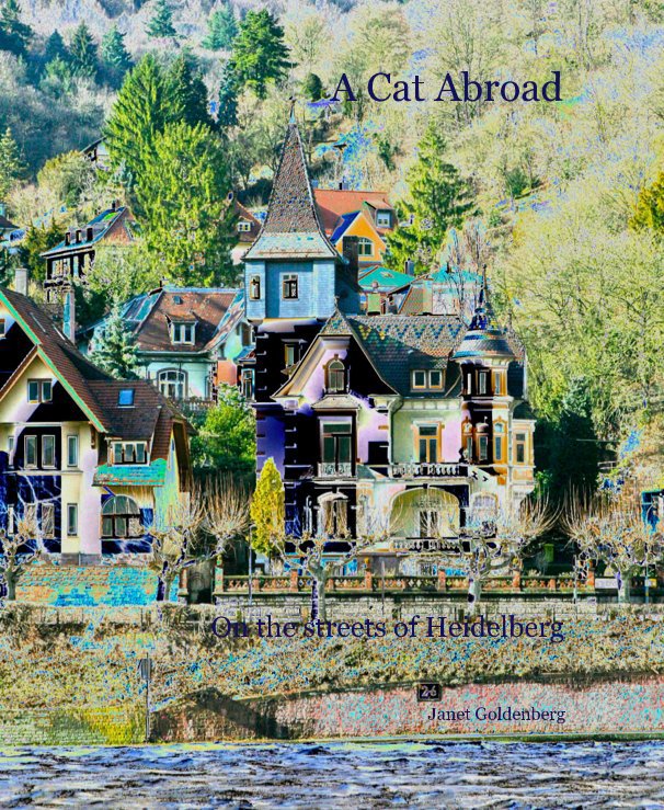 View A Cat Abroad On the streets of Heidelberg by Janet Goldenberg