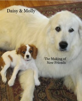 Daisy & Molly book cover