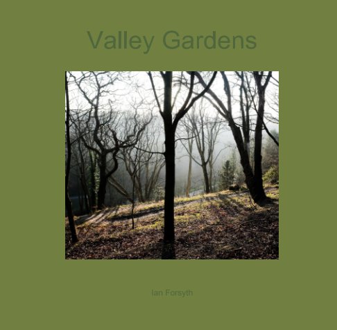 View Valley Gardens by Ian Forsyth